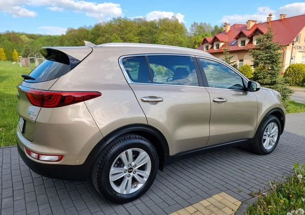 Kia Sportage cena 68900 przebieg: 104000, rok produkcji 2016 z Strzelce Opolskie małe 466